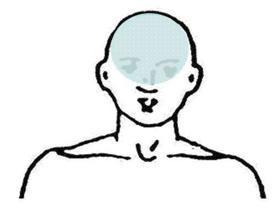 三叉神経第一枝の痛む範囲
