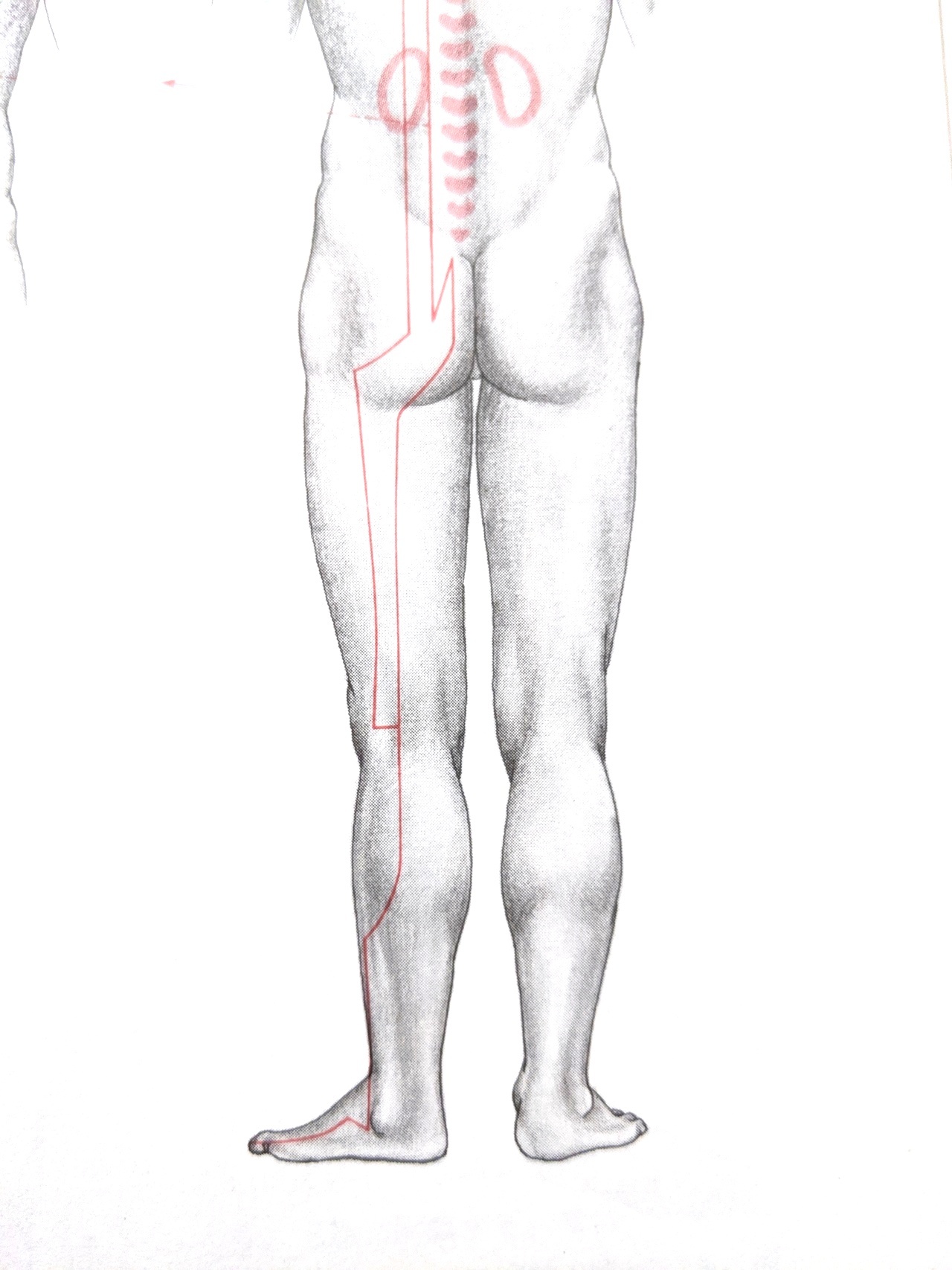 脊柱管狭窄症のツボ