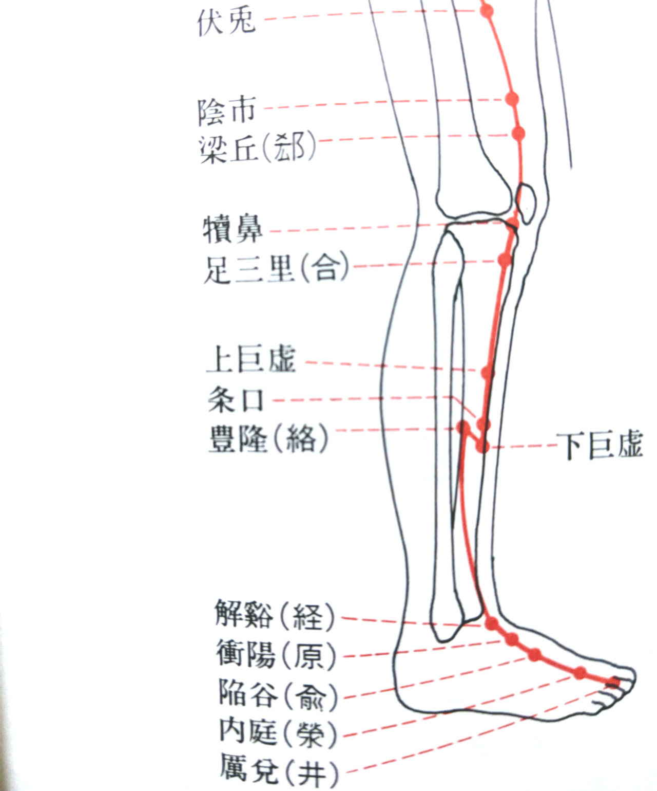 脊柱管狭窄症のツボ