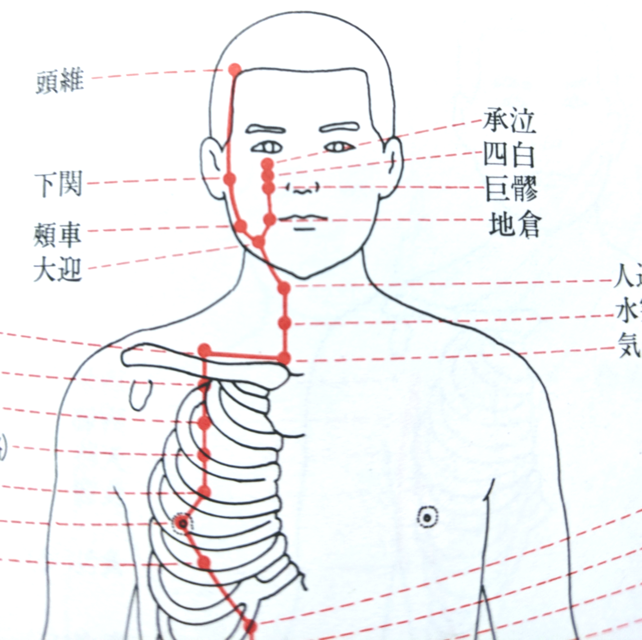 眼精疲労へのツボ