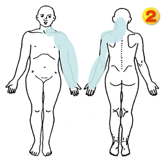 頚肩腕症候群 銀座そうぜん鍼灸院 深層筋 自律神経 銀座 築地