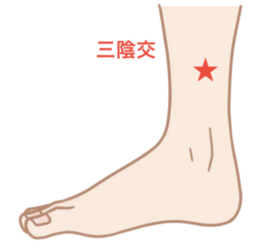 三陰交
