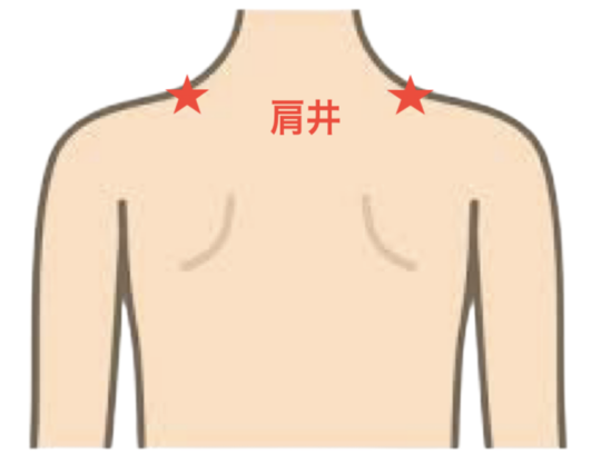 肩井　ツボ